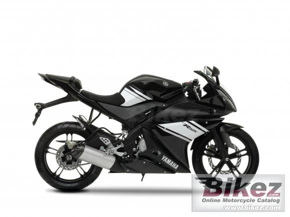 2009 Yamaha YZF-R 125 photo